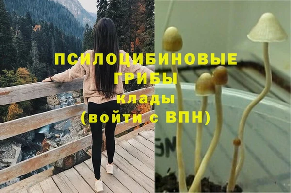 прущая мука Арсеньев
