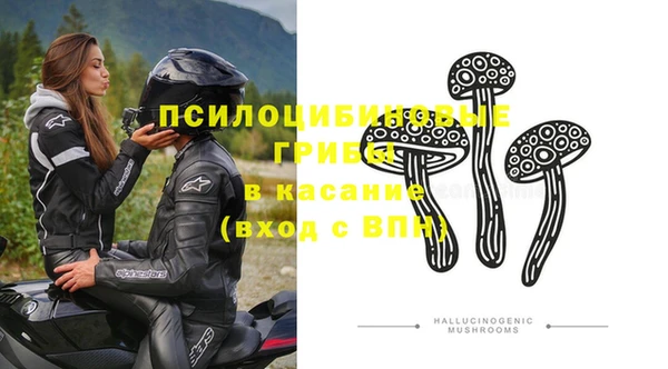 ECSTASY Аркадак